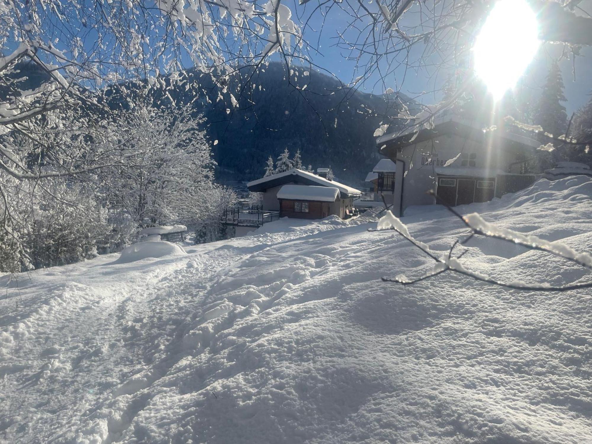 Ferienhaus Oberberg Flachau Exterior foto